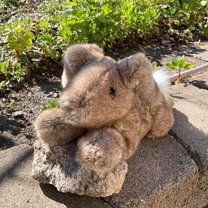 Douglas stuffed bunny